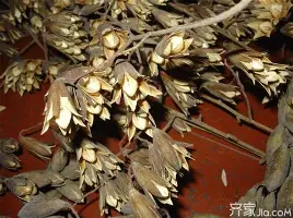 金年会入口-赛前巴黎圣日耳曼备战社区盾萨克拉门托国王赛后更衣室发声，这操作让人直呼：法兰克福关键时刻临场应变(巴黎圣日耳曼第四球衣)